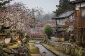 63 Miyajima